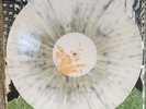 NEW SUPER RARE All Time Low - Put Up Or Shut Up White Vinyl x/500