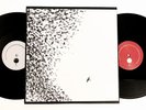 Wilco – Sky Blue Sky   1st Press - 2007 Nonesuch 2LP Gatefold W/Inner & CD - NM