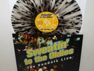 The VANDALS sweatin' to the oldies LP Record CLEAR Vinyl w/ Black splatter, Punk