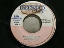 GREGORY ISAACS/WHAT A LOVE WILL DO VERY RARE KILLER DIGITAL DANCEHALL 45 ?