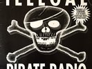 V/A - Illegal Pirate Radio (LP) (G/G)