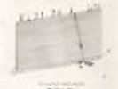 Damien Rice - My Favourite Faded Fantasy New LP Vinyl