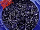 Morbid Angel - Altars of Madness