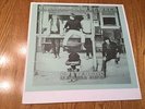 Buffalo Springfield Stampede LP Kornyphone not TMOQ Furay Young Palmer Stills