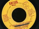 The Past Present & Future - If I Could Live For Eternity - Sweet Soul 45 HEAR