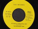 MIDNIGHT SUN: It's Such A Beautiful Day / Road To Paradise 45 (obscure breezy A