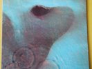 Pink Floyd LP MEDDLE (vinil) + FLEXY DISC