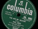 PAUL ANKA  You are my destiny / When I stop loving you    Schellackplatte  S8251