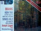 SZIGETI - MERCURY - SR90210 - BRAHMS - 