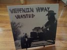 VERNON WRAY Wasted LP reissue Sebastian Speaks LINK WRAY unplayed