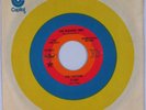 HEAR  Rare Sunshine Psych 45 THE TARTANS The Wishing Tree CAPITOL (promo)
