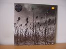 DEAD CAN DANCE 