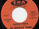 THE CHOCOLATE TUNNEL 