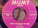 Rare Sweet Soul The Mumy Don't Let The Sun Catch You Crying 45 RPM