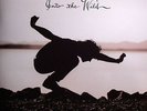 VEDDER, Eddie - Into The Wild - Vinyl (gatefold 180 gram vinyl LP)