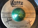 CUPPY GARAGE FUZZ PUNKER THE SNAPS - YOU DON'T WANT ME - BO DIDDLEY BEAT