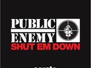 Serato Public Enemy Shut Em Down Vinyl (pair) DJ Control Tone Pic Disc Sealed