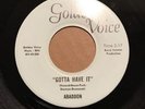 Abaddon Gotta Have It Golden Voice Garage Psych Punk 45 Illinois Rock 1969