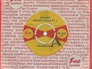 Megatons - Shimmy Shimmy Walk Pt I / Shimmy Shimmy Walk Pt II - Sue DEMO WI-325