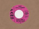 Sarah James & The Soul Babies - Takin Care Of Business - Faro Demo 628 - Norther