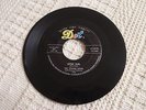THE YOUNG LIONS  LITTLE GIRL/IT WOULD BE DOT 16172