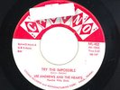 ?LEE ANDREWS AND THE HEARTS Try The Impossible/Nobody's Home Casino 452 DOO WOP?