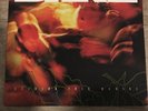 BANE - Holding This Moment LP Red/White Have Heart Expire Hardcore NYHC