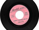 DARRELL BANKS - SOMEBODY (SOMEWHERE) NEEDS YOU  - REVILOT- EXCELLENT+ CONDITION
