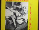 Fast Floyd & The Famous Firebirds 