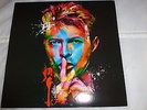 LP. 33T .DAVID BOWIE.PICTURE .THE MAN WHO PLAY IN DUBLIN.2003. SOLD OUT.JAPON