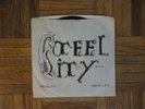Steel City Band,Reality /New Life,Salt Creek Label, Northern Soul 45 RPM