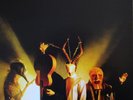 The Dead Weather ?– Sea Of Cowards Vinyl LP NEW