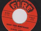 Elmore James 