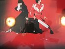 Elephant [LP] by The White Stripes (Vinyl, Sep-2013, 2 Discs, Third Man Records)