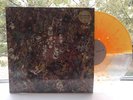 DANCE GAVIN DANCE Tree City Sessions Vinyl LP (rarest variant /300) OOP