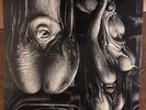 The Shiver Walpurgis LP Garden of Delights Krautrock Prog Psych