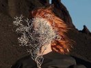 GOLDFRAPP Silver Eye INDIES ONLY clear LP Vinyl BRAND NEW