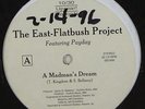 East-Flatbush Project 