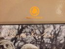 Death In June Coil Attrition Vinyl Lp Brown Book Burial Tainted Love
