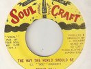 DAVID WILL The Way The World Should Be SOUL CRAFT  NORTHERN SOUL 45