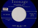 THE DEMENS: Take Me As I Am / You Broke My Heart TEENAGE Doo Wop Orig 45 Hear