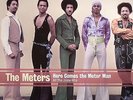 METERS, The - Here Comes The Meter Man: All The Josie Hits - Vinyl (LP)