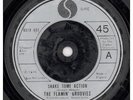 FLAMIN GROOVIES Shake Some Action 7