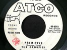 THE GROUPIES Primitive ATCO Rare Garage LISTEN