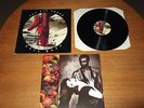 Vinyl Lp Kate Bush the red shoes