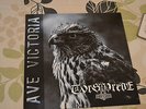 Skinhead  28 ROCK O RAMA TORS VREDE BLUE VINYL
