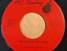 * SUE BRUBAKER The Dead Came Back UNKNOWN LONER PSYCH FOLK Al Homburg 45 HEAR