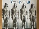 TIN MACHINE  -  DAVID BOWIE  1991 OFFENBACH   -  orig.Konzert-Poster-Plakat A1