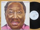 Rare Vintage Vinyl-Muddy Waters-I'm Ready-Blue Sky Records WL PROMO AL 34928-NM