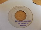 THE CONCORDS-DON'T LET ME SUFFER/RED SUN RISE- SUCCESS  7
